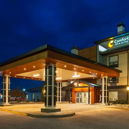 Comfort Inn & Suites Ingersoll Buitenkant foto