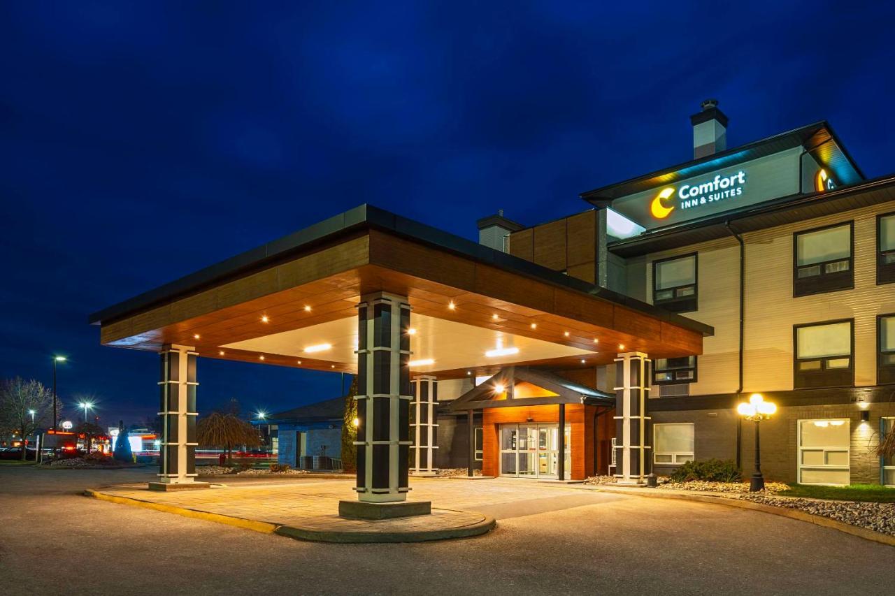 Comfort Inn & Suites Ingersoll Buitenkant foto